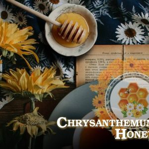 『30ml小煙油』~ 🍃『𝐆𝐞𝐧𝐞𝐬𝐢𝐬 創世紀系列』🍃